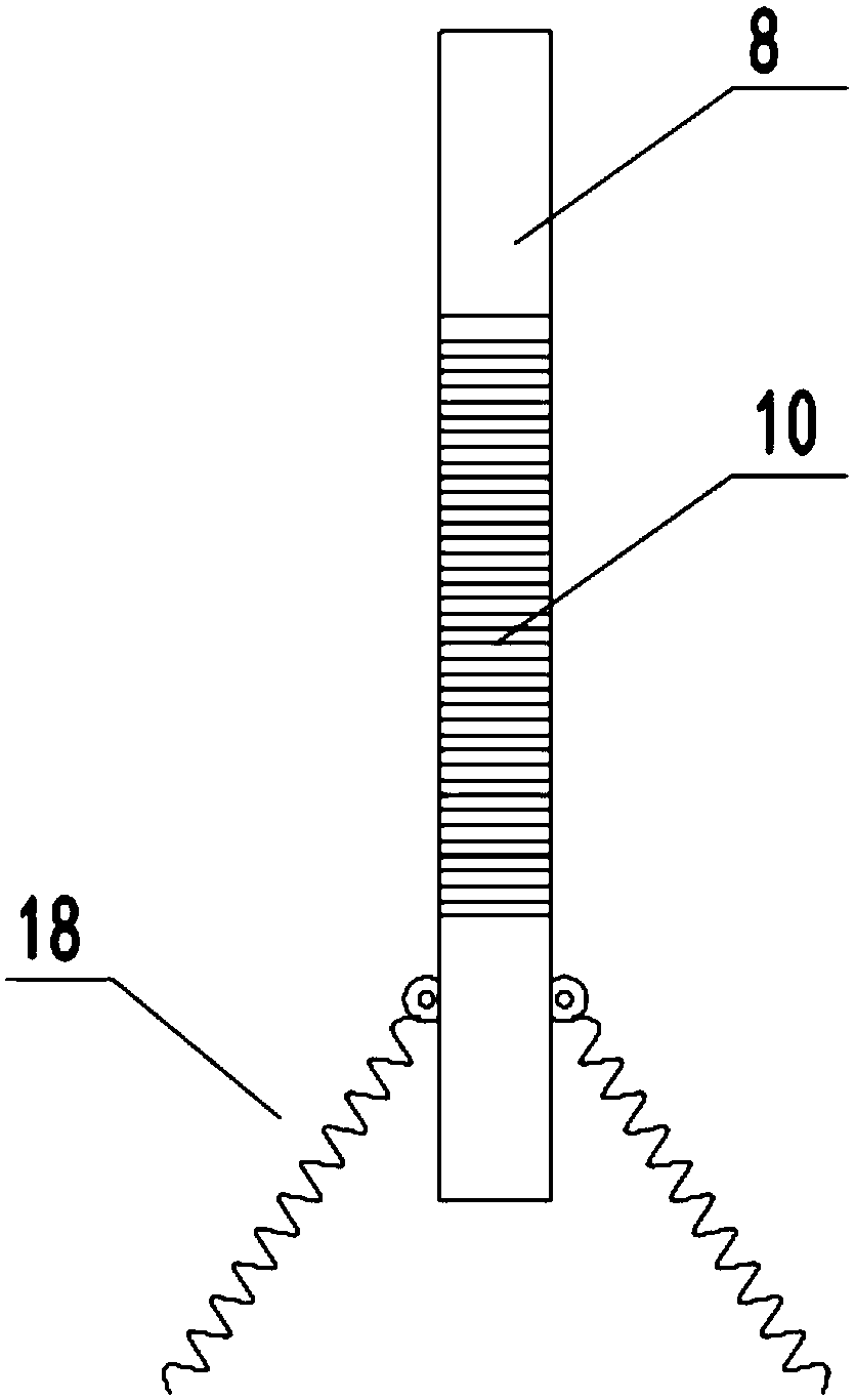 Plaque taking device convenient to operate for field of biotechnology