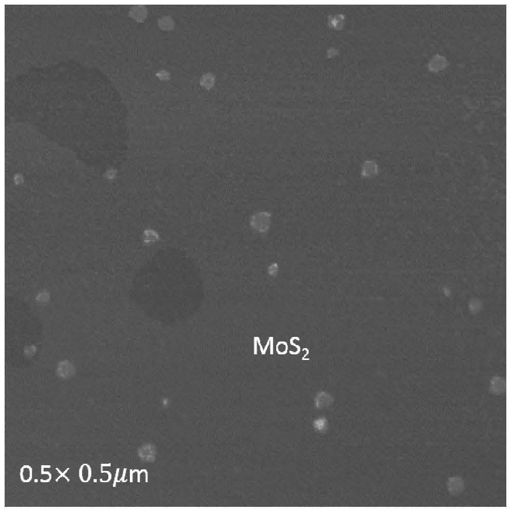 A method for preparing molybdenum sulfide two-dimensional material using mocvd equipment