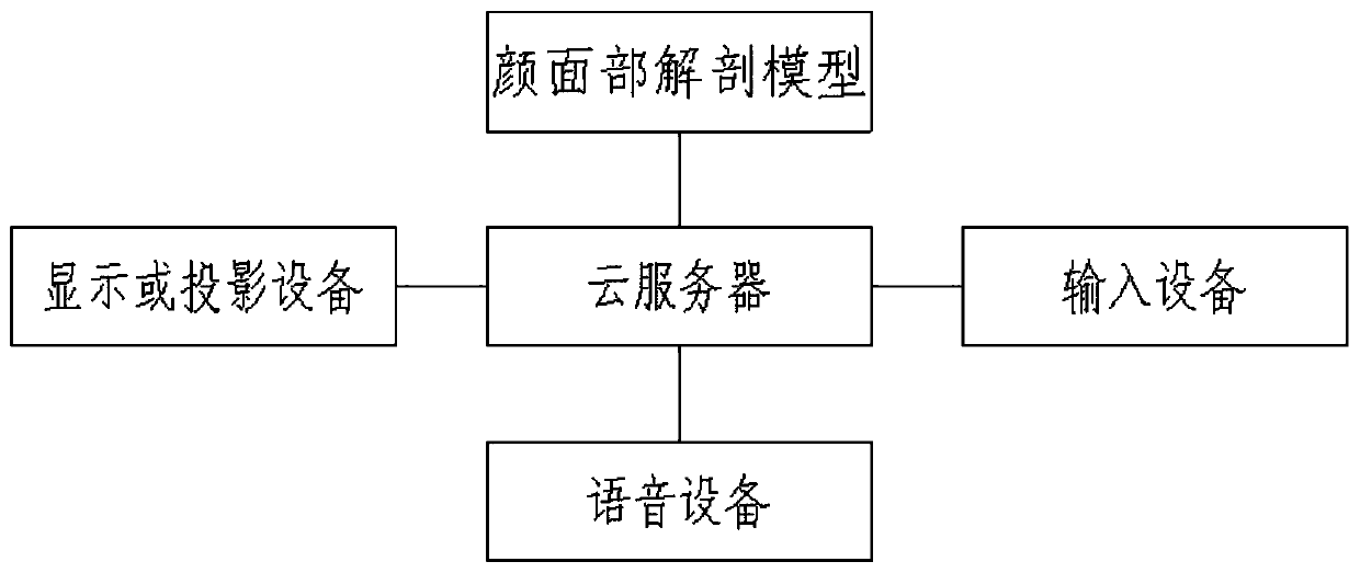 Modeling method and teaching system for facial anatomy teaching