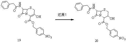 Method for preparing 7-amino-3-nor-3-cephalo-4-carboxylic acid