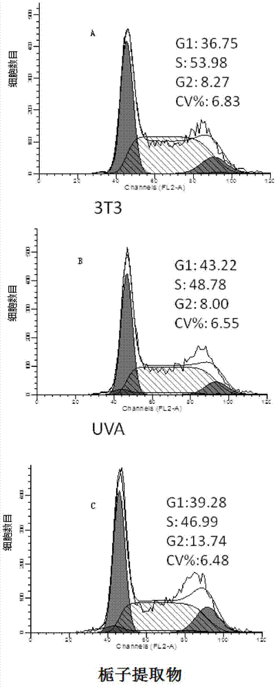 Application of jasmine extract in preparing healthcare food or cosmetics with effects of resisting radiation and ageing