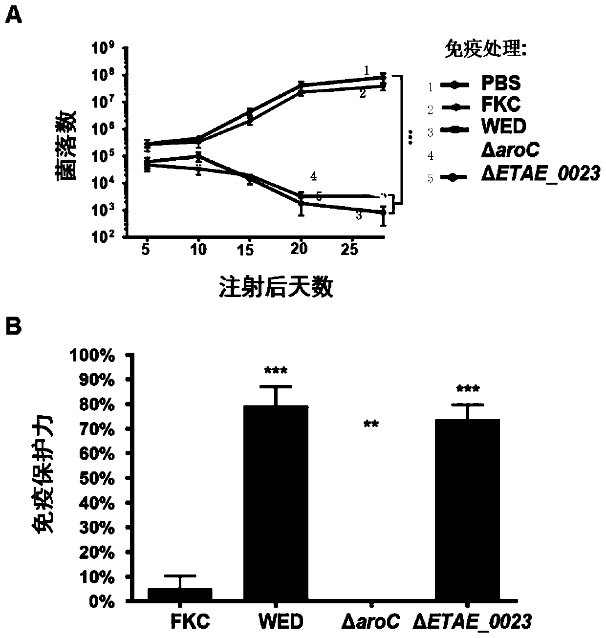 Novel Edwardsiella attenuated target and application thereof