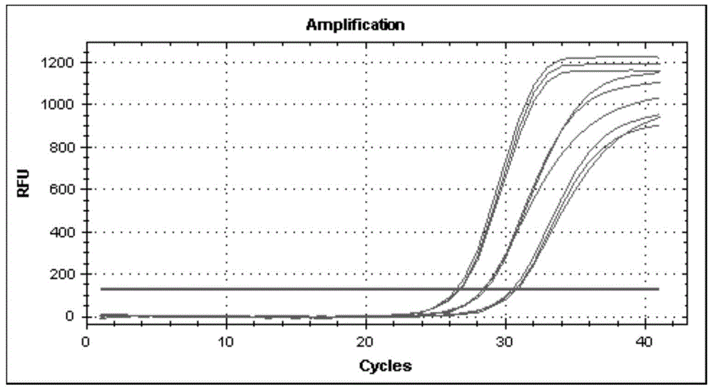 Kit capable of rapidly and specifically detecting mycobacterium tuberculosis infection and applications thereof