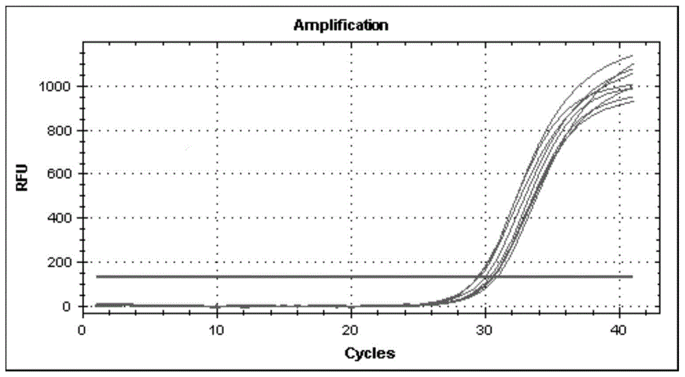 Kit capable of rapidly and specifically detecting mycobacterium tuberculosis infection and applications thereof