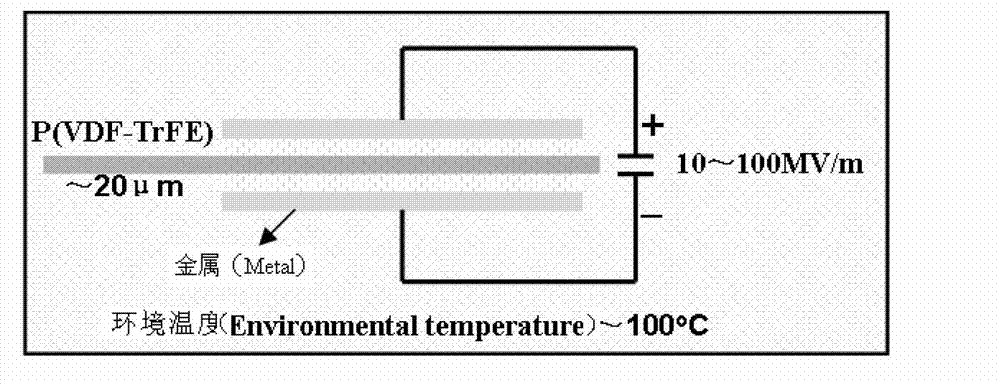 Application and method for preparing electret piezoelectric material from head-head connected hydrogenation P (VDF-TrFE)