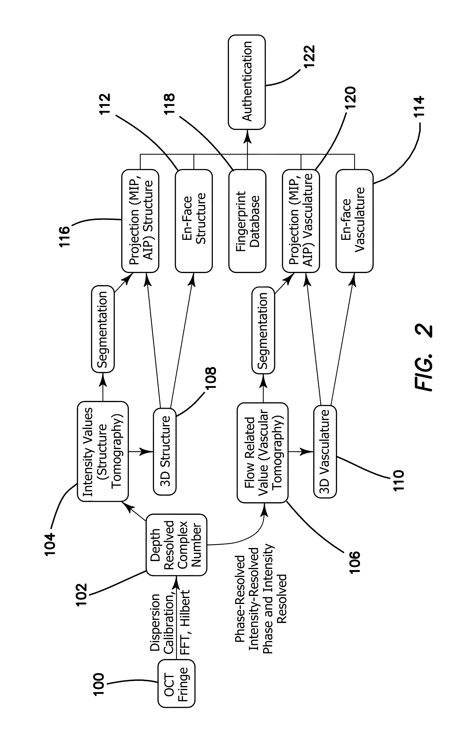 Apparatus and Method for Capturing a Vital Vascular Fingerprint