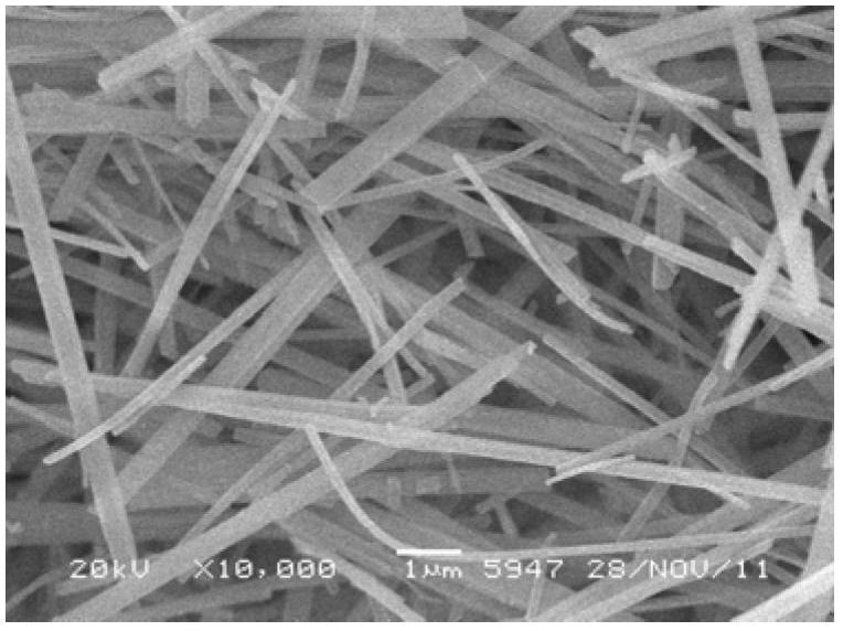 Method for preparing rod-like magnesium hydroxide from salt lake brine