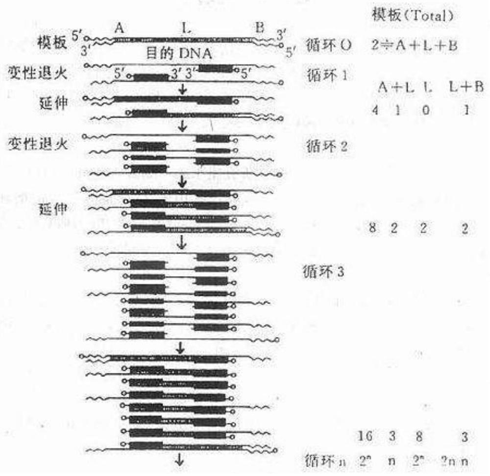 Nucleic acid testing kit for freeze-dried novel coronaviruses, influenza viruses and hepatitis viruses and detection method