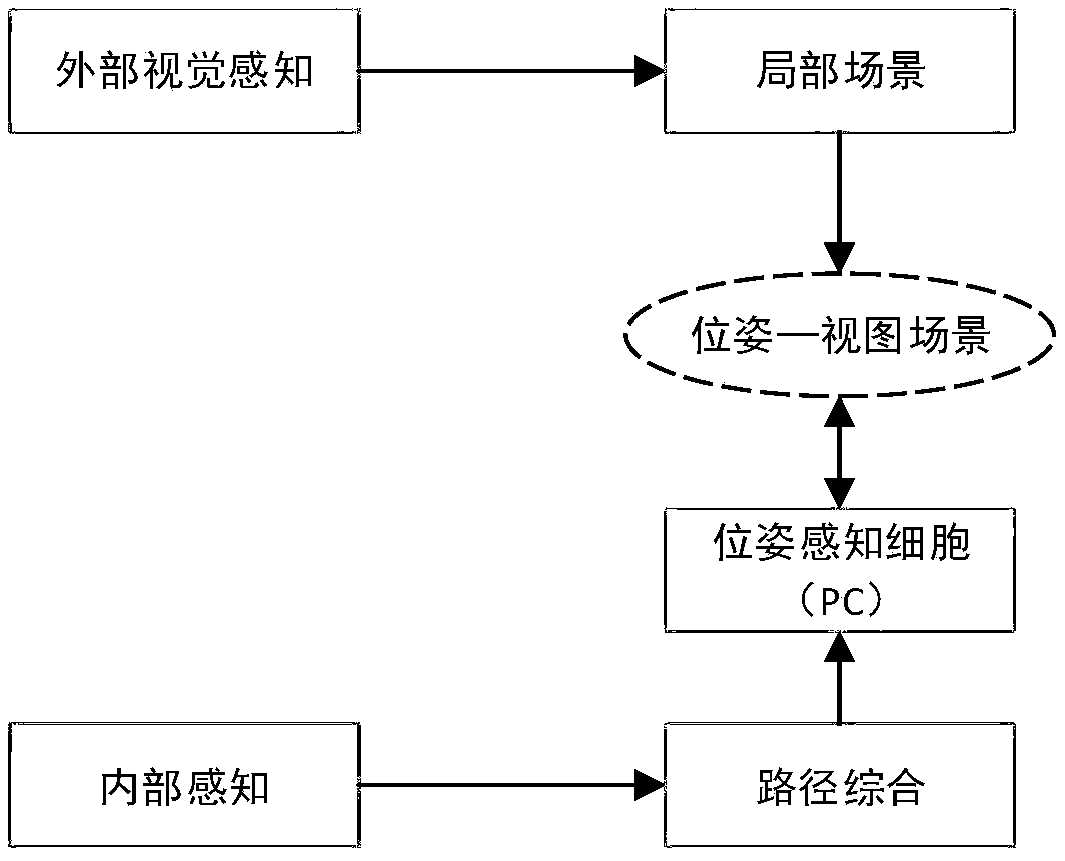 SLAM method based on rodent model and WIFI fingerprint