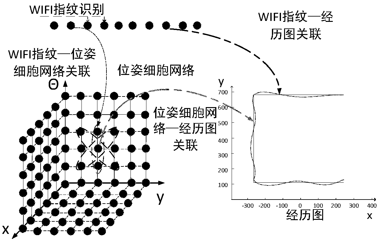 SLAM method based on rodent model and WIFI fingerprint