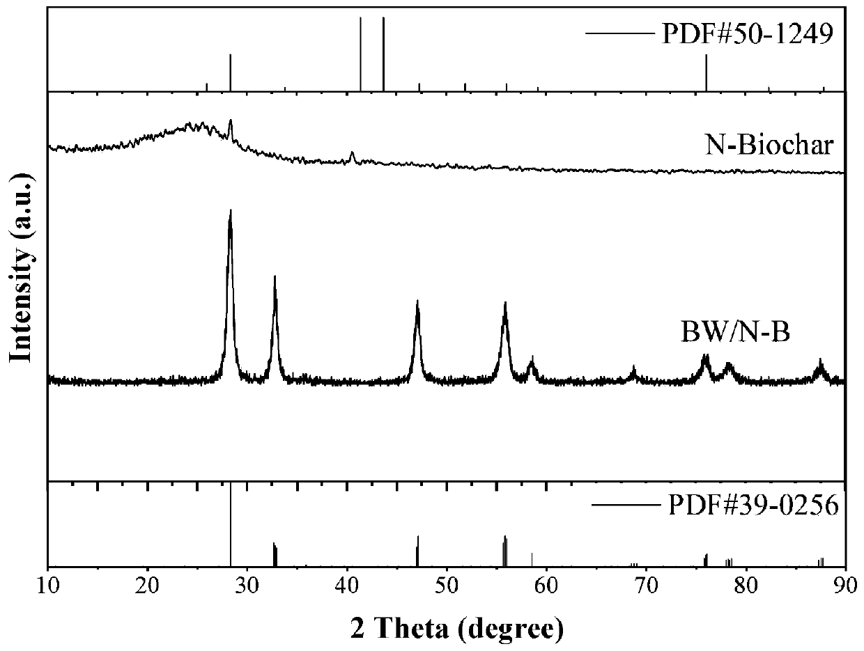 Preparation method of corn straw biochar-Bi2WO6 photocatalyst for efficiently degrading organic pollutants