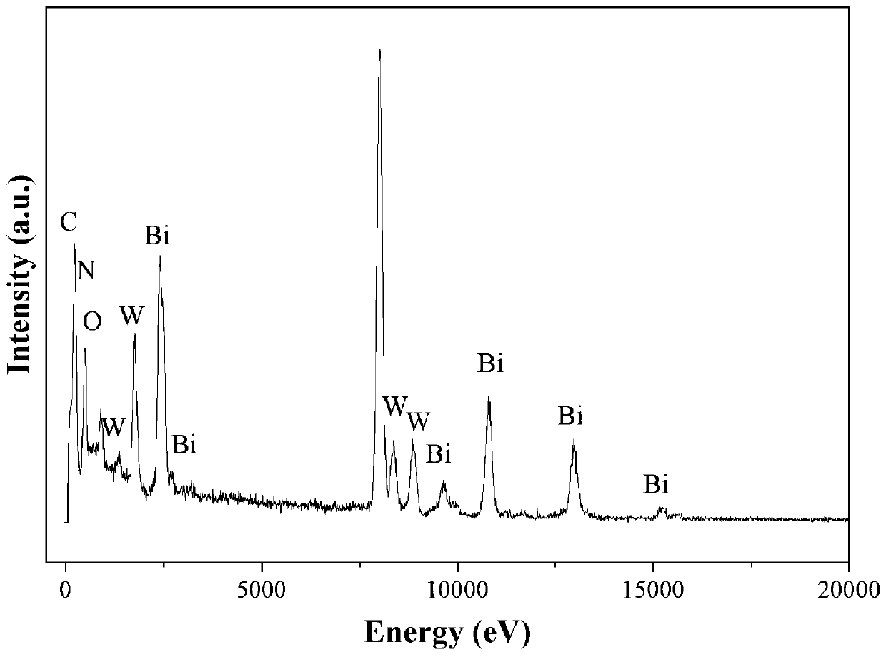 Preparation method of corn straw biochar-Bi2WO6 photocatalyst for efficiently degrading organic pollutants