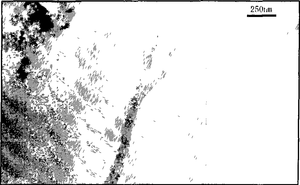 Method for preparing porous alumina formwork with Y type structure