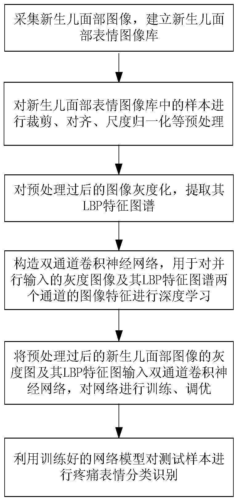 Newborn pain expression recognition method based on dual-channel feature deep learning