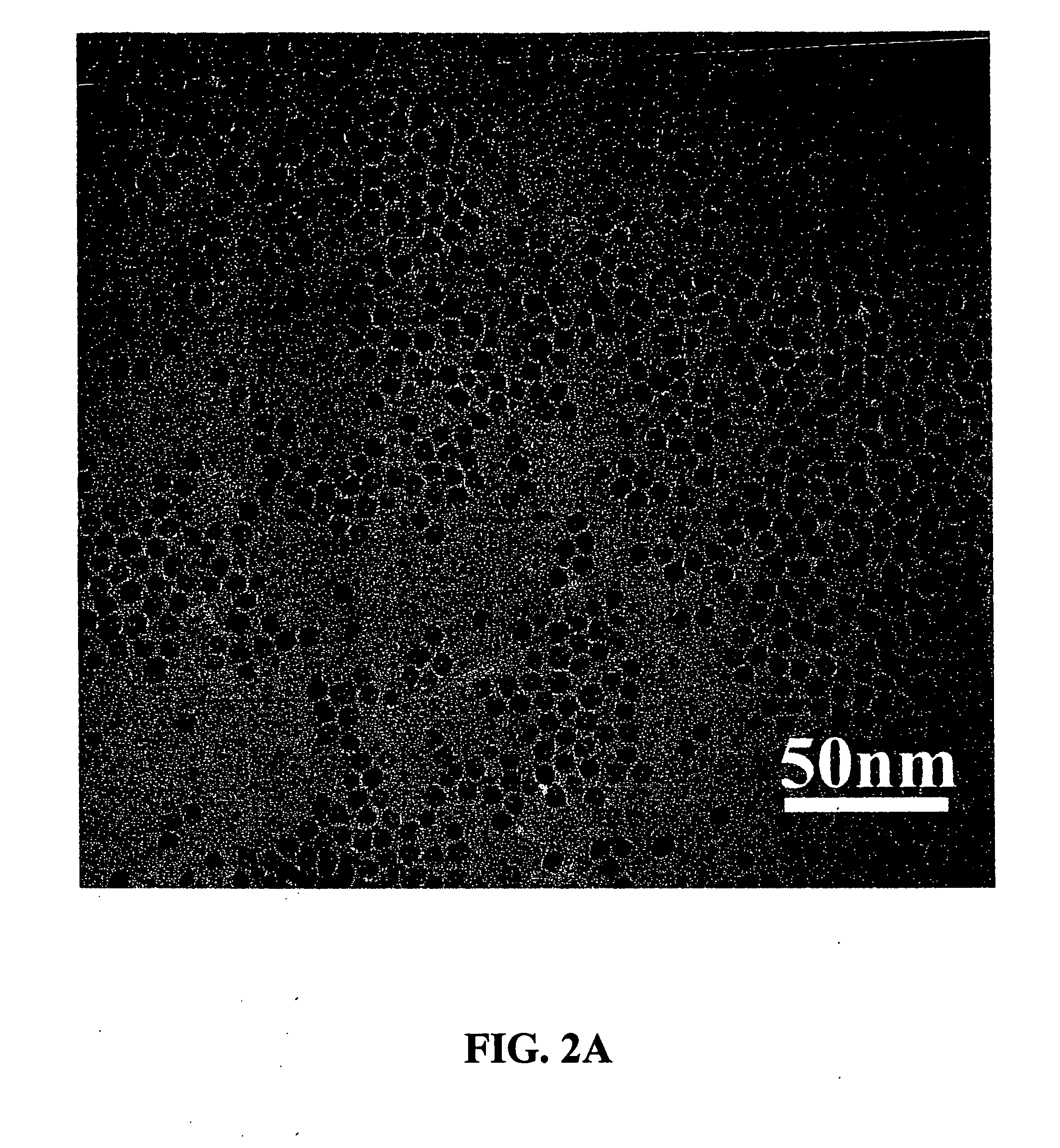 Nano-sized particles, processes of making, compositions and uses thereof