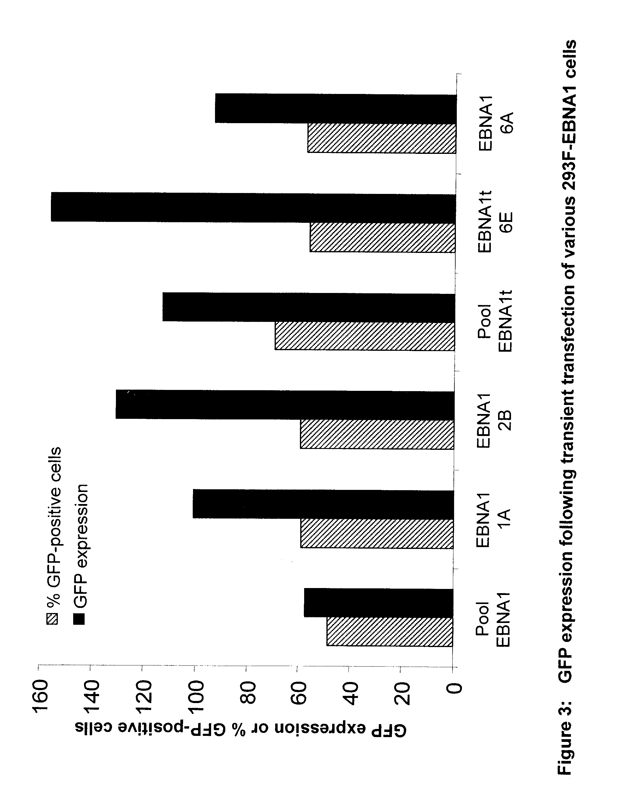 Expression Vectors Containing a Truncated Epstein Barr Nuclear Antigen 1 Lacking the Gly-Gly-Ala Domain for Enhanced Transient Gene Expression