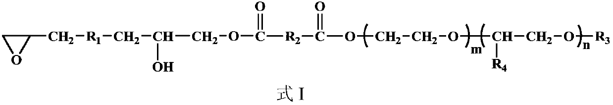 Water-based organic silicon fluorine modified graphene oxide/epoxy resin coating and preparation method thereof