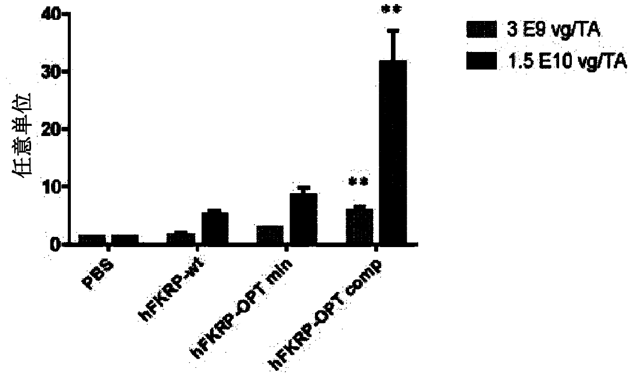 Novel polynucleotides encoding a human fkrp protein