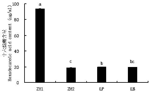 Lactobacillus strain lactobacillus parafarraginis ZH1 and application thereof