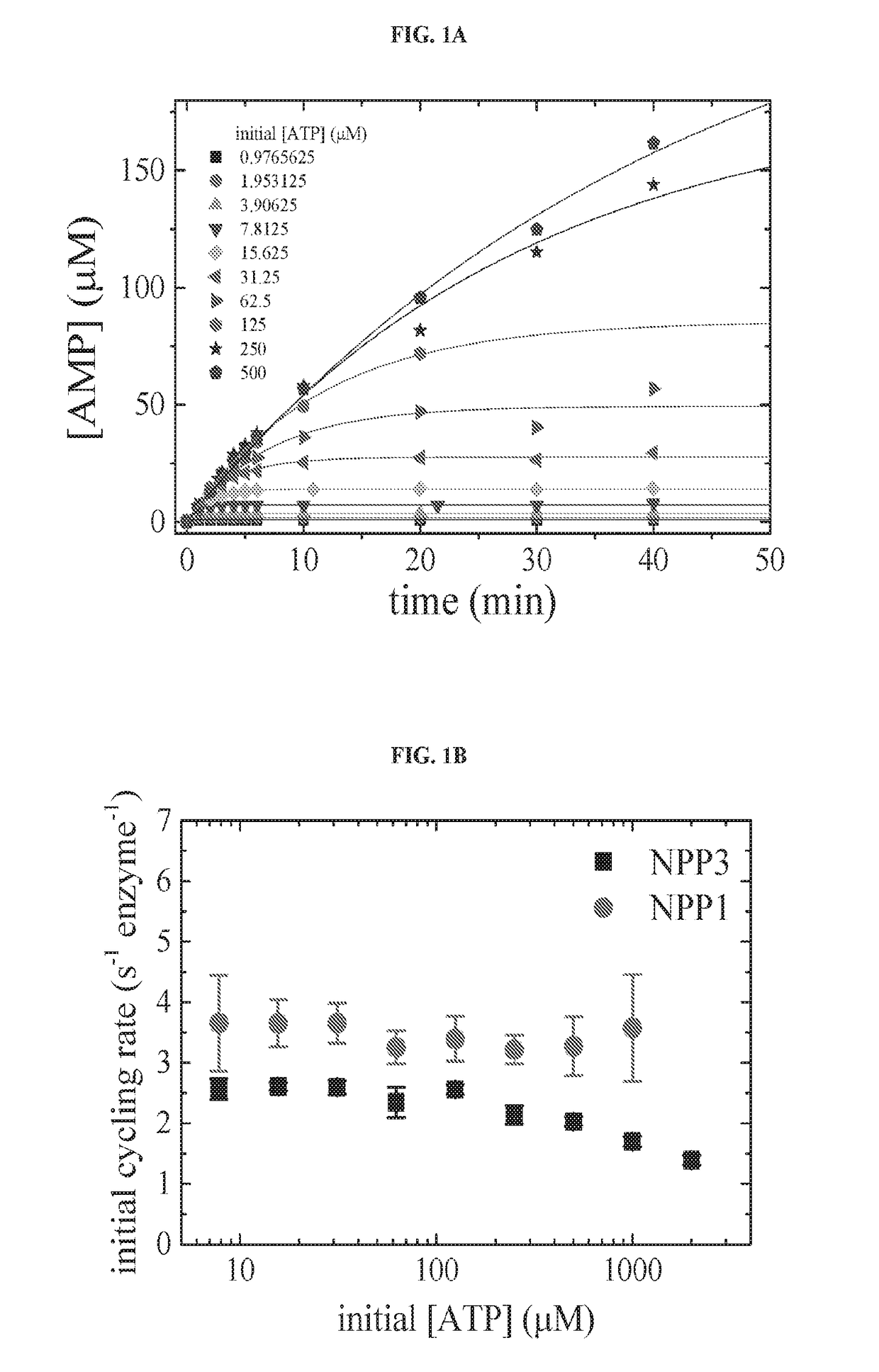 Compositions for Treating Ectopic Calcification Disorders, and Methods Using Same