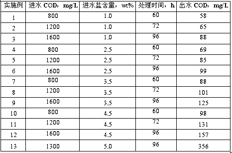 A kind of Kitami microbacterium and its cultivation application