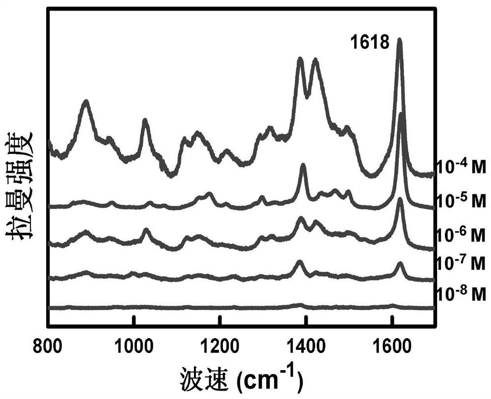 Environmental pollutant detection method based on three-dimensional micro-nano structure-enhanced Raman spectroscopy