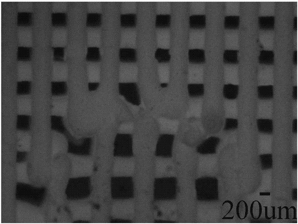 Biomimetic non-uniformity structure bioglass scaffold and preparing method thereof