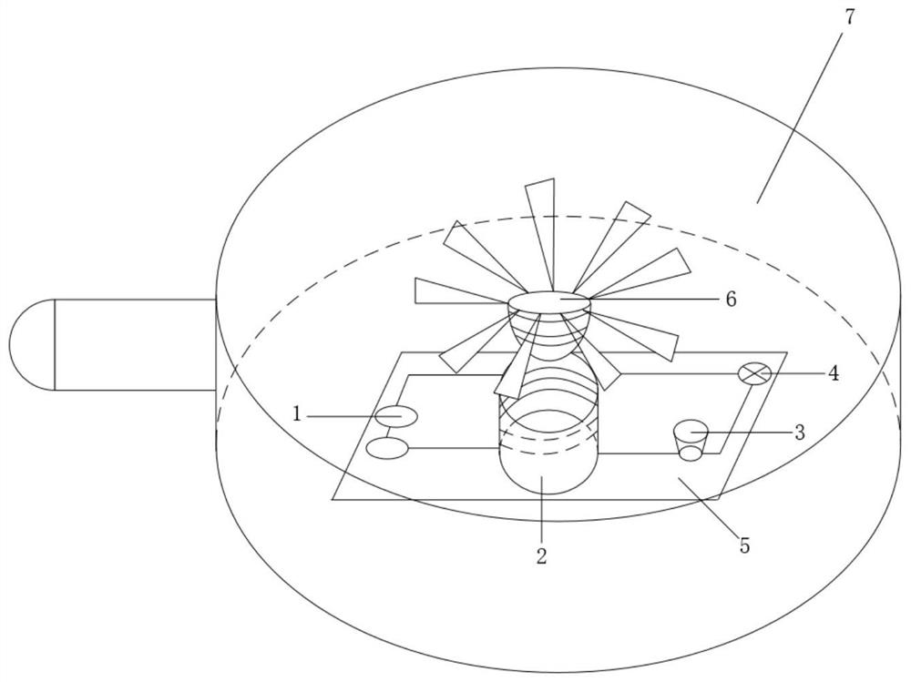 Wind direction detection device