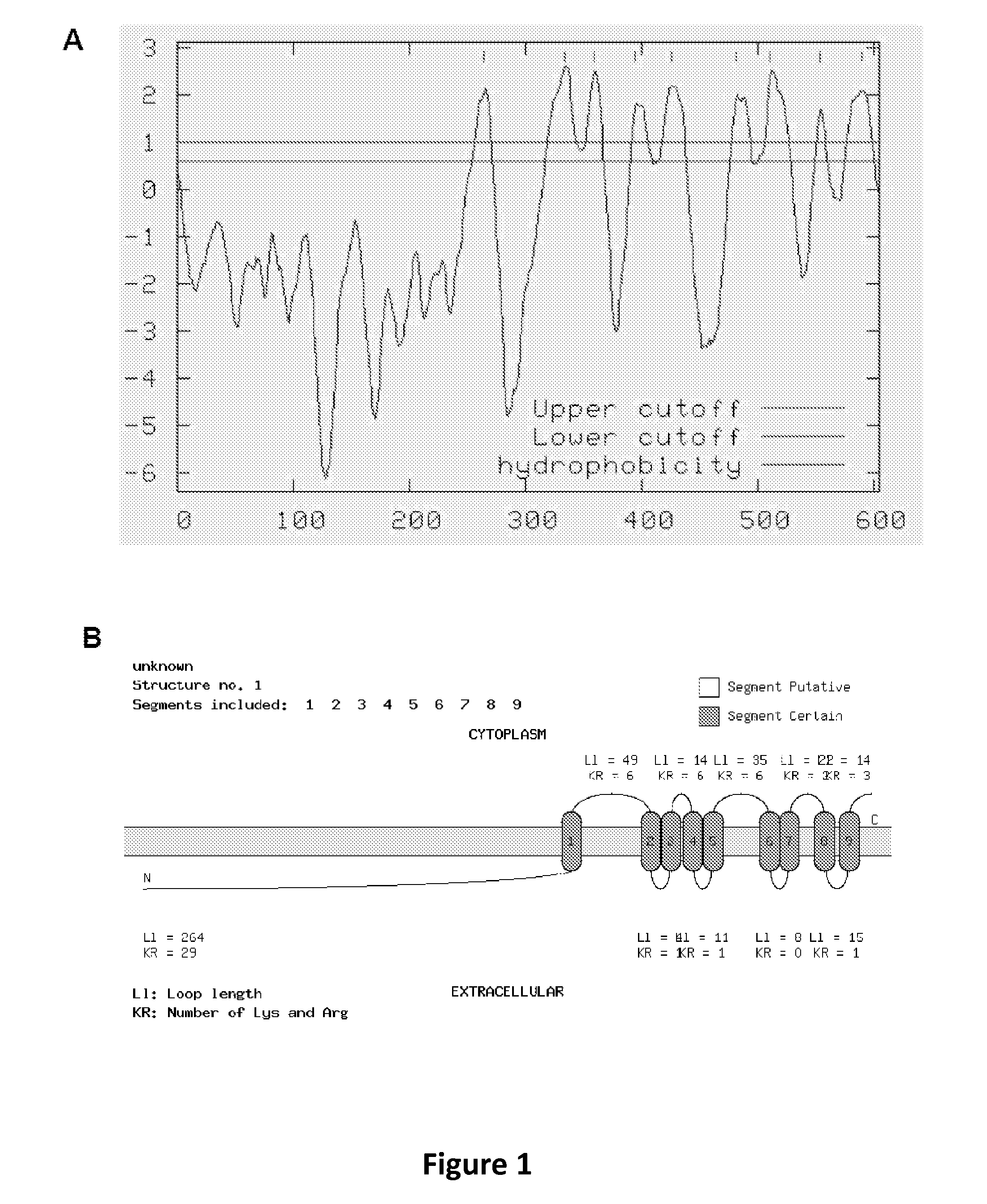 Method and a Kit To Detect Malignant Tumors and Provide a Prognosis