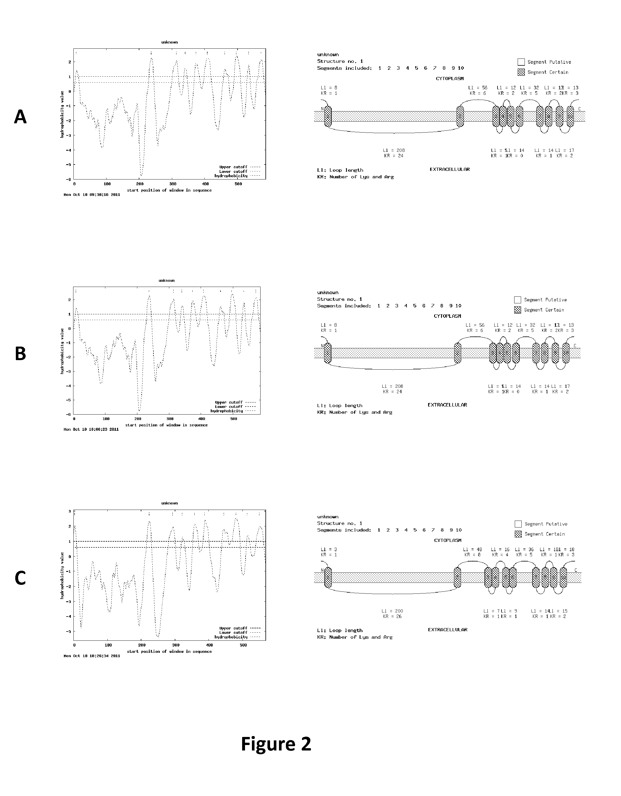 Method and a Kit To Detect Malignant Tumors and Provide a Prognosis