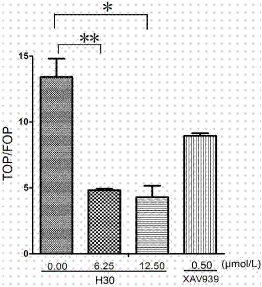 Application of shizukaol D in preparing anti-tumor target medicines