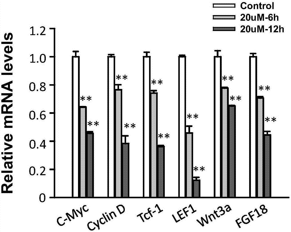 Application of shizukaol D in preparing anti-tumor target medicines