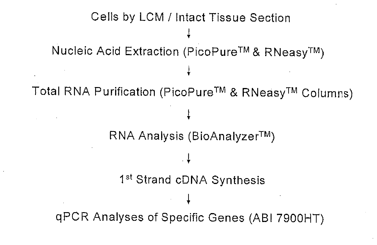 Methods for identifying an increased likelihood of recurrence of breast cancer