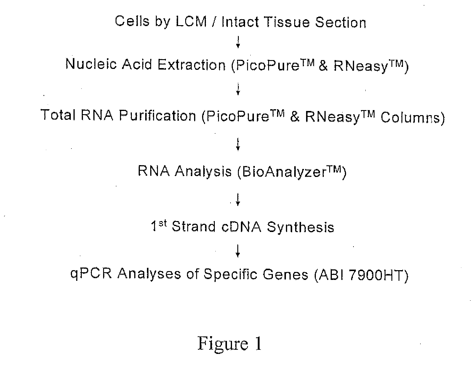 Methods for identifying an increased likelihood of recurrence of breast cancer