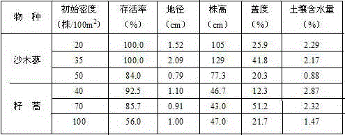 A method for planting sand-fixing plants in arid sandy areas