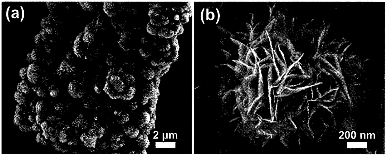 Preparation method of enteromorpha prolifera active carbon composite manganese dioxide supercapacitor electrode material