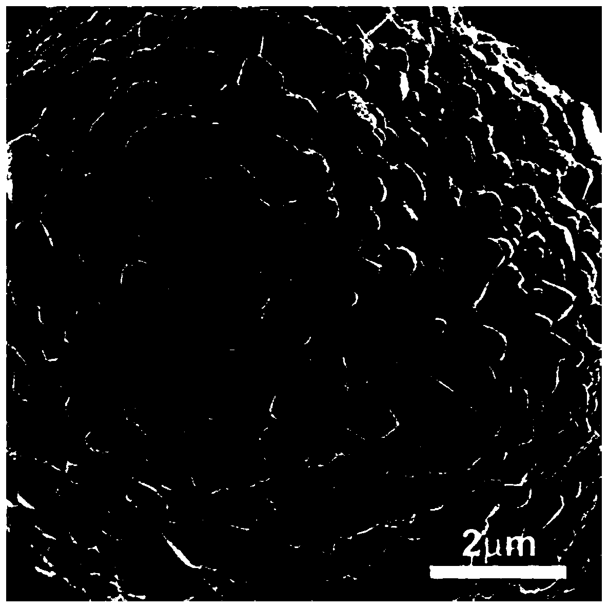 Metal-organic framework material coated ternary positive electrode material and preparation method thereof