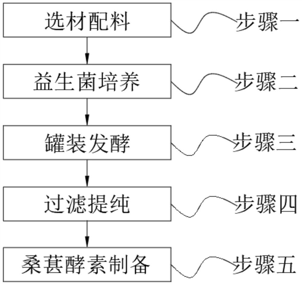 Mulberry enzyme and production process thereof