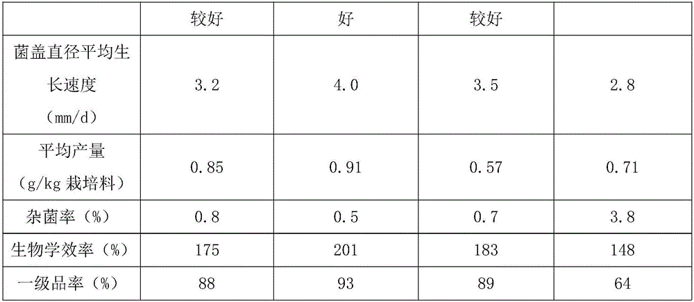 Shiitake cultivation material