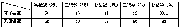 Tree branch reproduction method of stauntonia chinensis