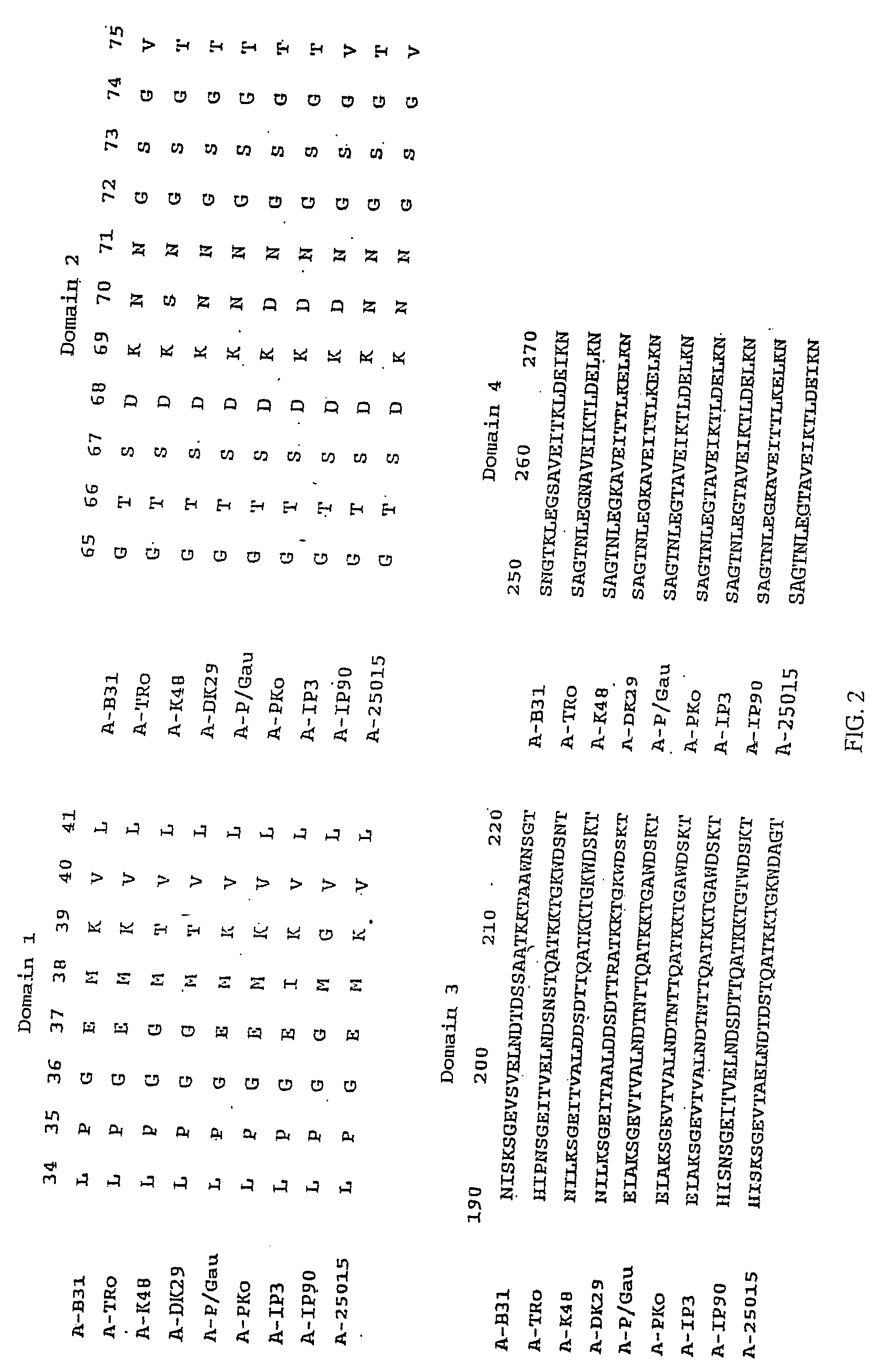 Recombinant constructs of Borrelia burgdorferi