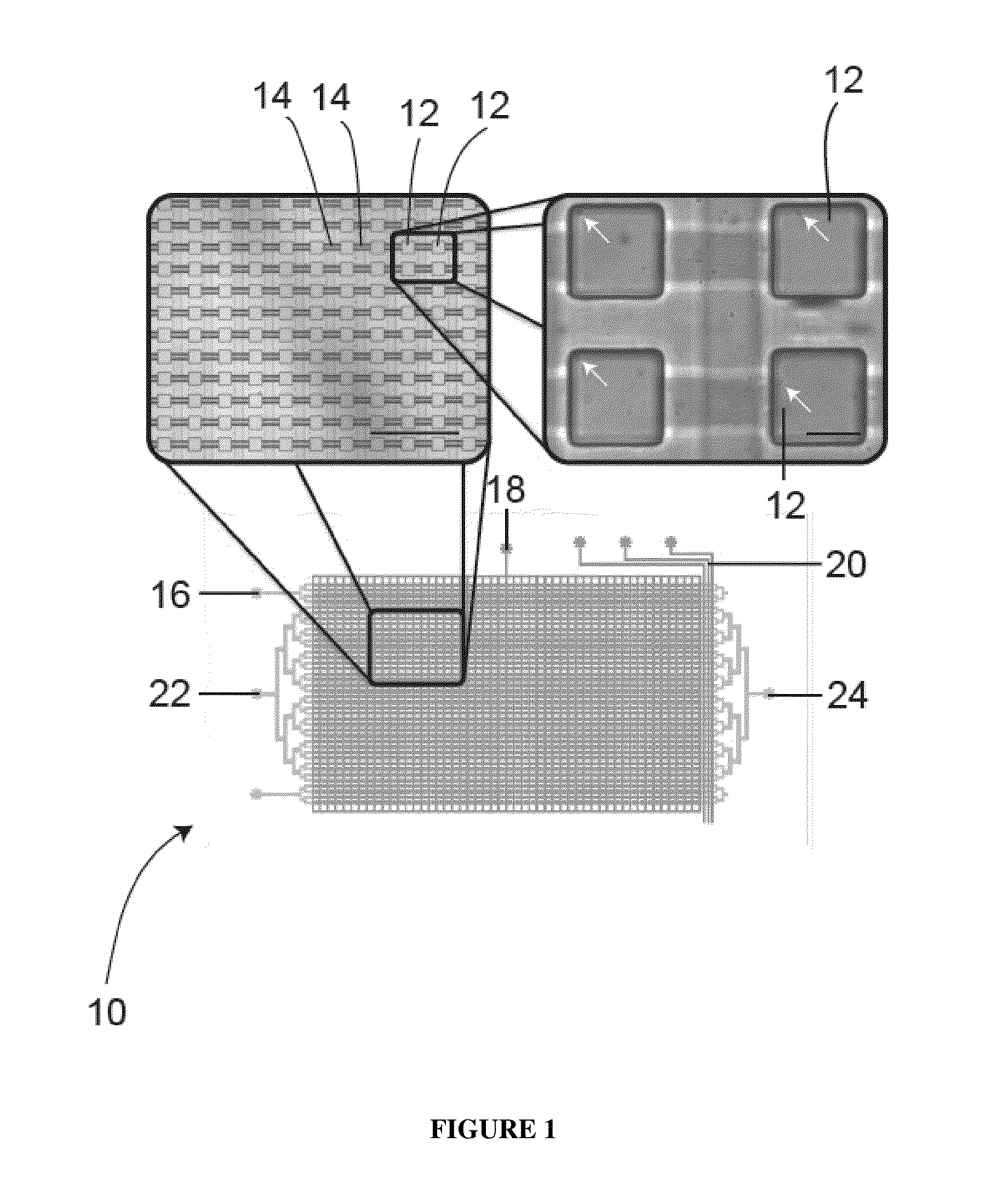 System and method for microfluidic cell culture