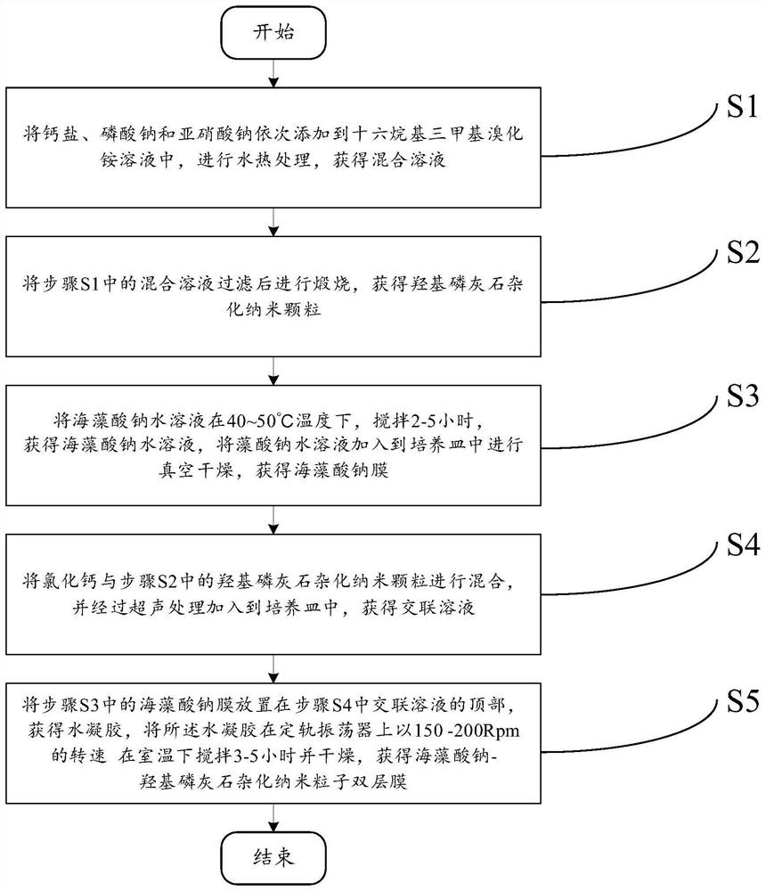 Sodium alginate-hydroxyapatite hybrid nanoparticle double-layer membrane and preparation method thereof