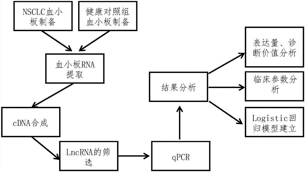 Blood platelet LncRNA quantitative determination method for non-small cell lung cancer diagnosis