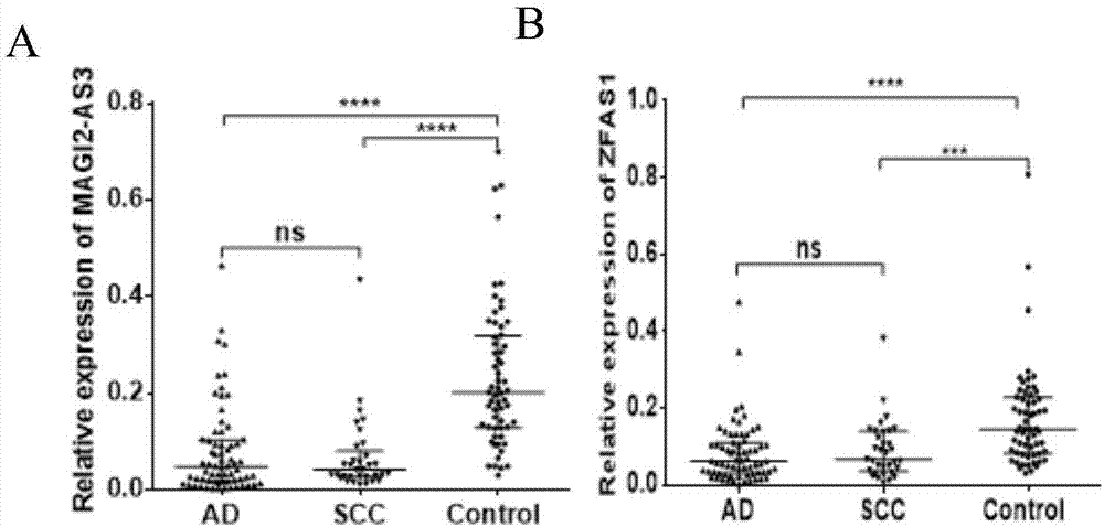 Blood platelet LncRNA quantitative determination method for non-small cell lung cancer diagnosis