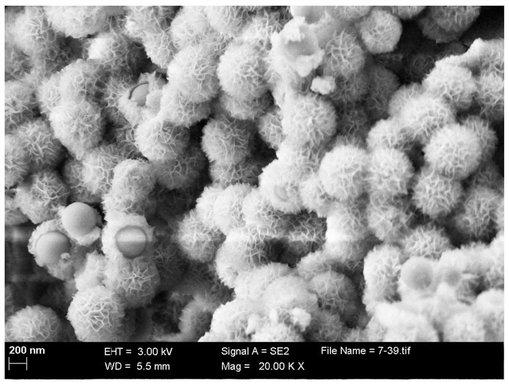 Preparation method of cobalt disulfide/carbon hollow nanoflower composite material and prepared composite material