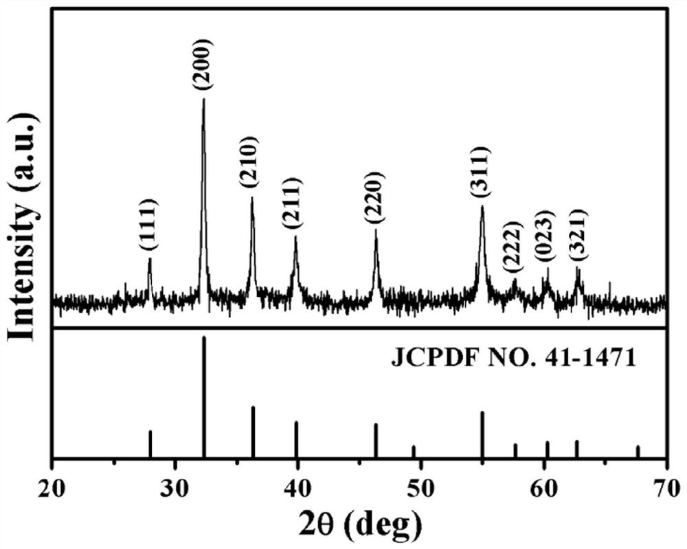 Preparation method of cobalt disulfide/carbon hollow nanoflower composite material and prepared composite material