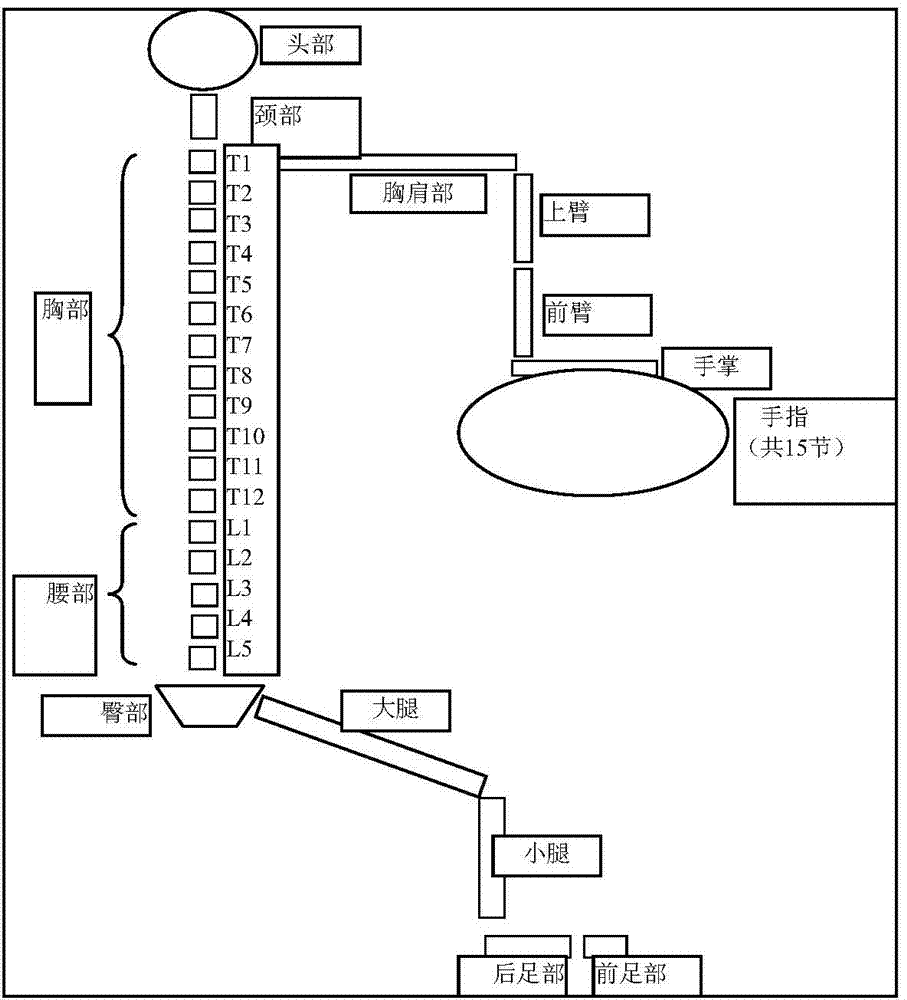 Intelligent human platform establishing method for equipment design and evaluation