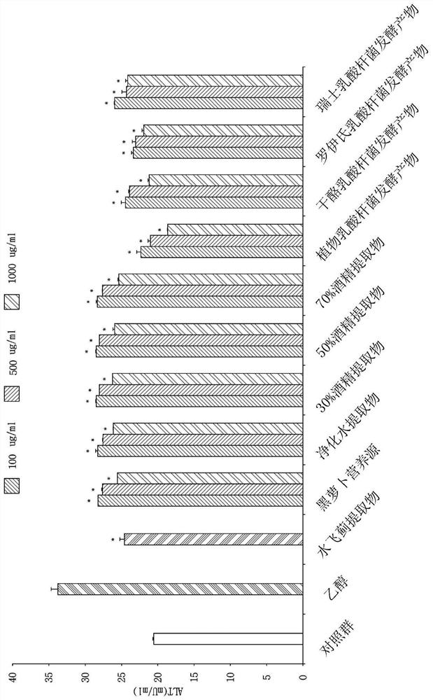 Composition for improving liver function including fermented product of black radish lactic acid bacteria and method for producing fermented product of black radish lactic acid bacteria