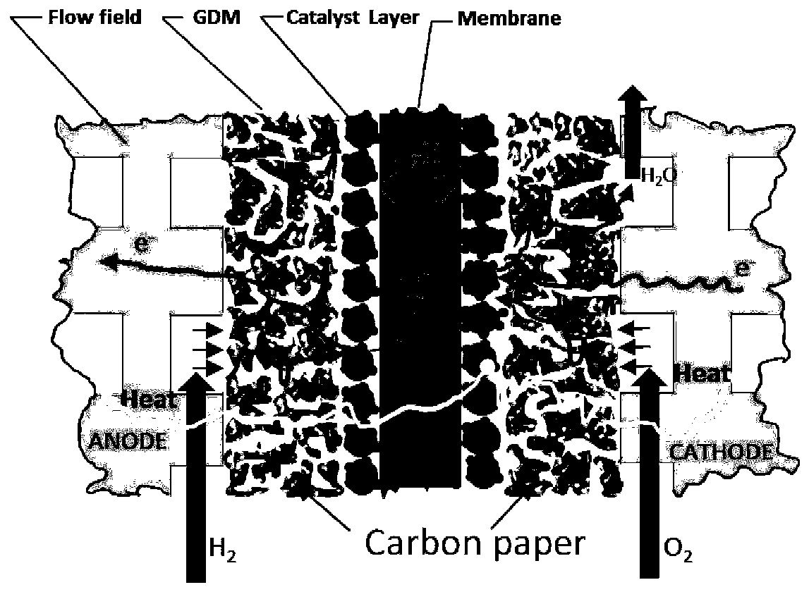 Novel proton exchange membrane fuel cell